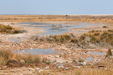 Image showing landscape namibia Etosha game reserve