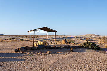 Image showing prehistoric desert plant, Namibia