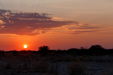 Image showing landscape namibia Etosha game reserve