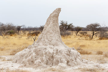 Image showing termite mound in Africa