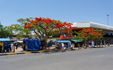 Image showing Street in Francis Town, Botswana