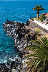 Image showing beautiful view on blue ocean water and palm tree