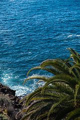 Image showing beautiful view on blue ocean water and palm tree