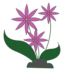 Image showing Pot of pink flowers vector or color illustration