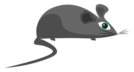 Image showing Little grey mouse illustration vector on white background 
