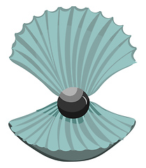 Image showing Pearl in the shell vector or color illustration