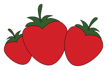 Image showing Three strawberries vector or color illustration