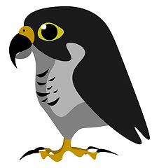 Image showing The black falcon vector or color illustration