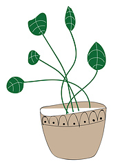 Image showing Rounded plant illustration vector on white background 