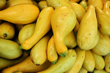 Image showing Yellow squash