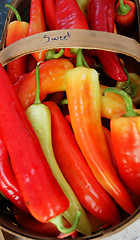 Image showing Basket of peppers