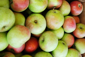 Image showing Basket of apples