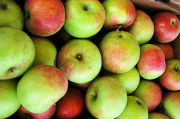 Image showing Box of apples