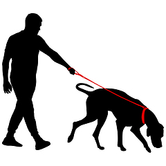 Image showing Doberman pinscher dog black silhouette on white background