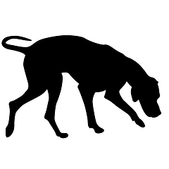 Image showing Doberman pinscher dog black silhouette on white background