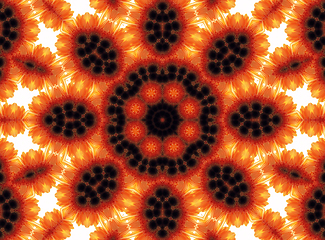 Image showing Abstract flower pattern