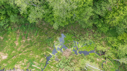 Image showing Forest river with dead tree log lying over