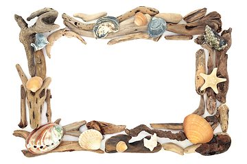 Image showing Natural Driftwood and Seashell Border