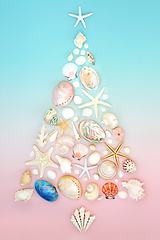 Image showing Christmas Seashell Tree for the Southern Hemisphere