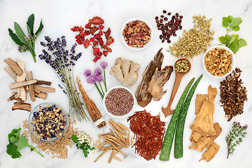 Image showing Herbs Flowers and Spices used in Alternative Herbal Medicine