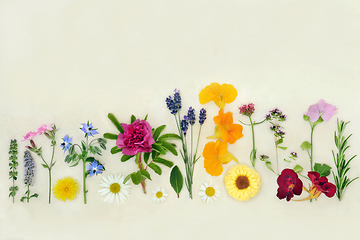 Image showing Herbs and Flowers for Alternative Plant Medicine