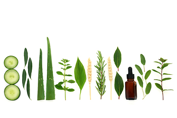 Image showing Herbs for Natural Skincare Essential Oil Products