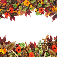 Image showing Abstract Fall Natural Background Border with Traditional Flora