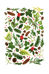 Image showing Winter Nature Composition with Plant Leaves and Holly Berries