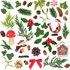 Image showing Christmas Baubles and Winter Flora Composition