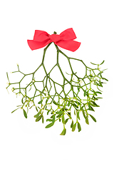 Image showing Mistletoe Plant Pagan Symbol of Fertility 