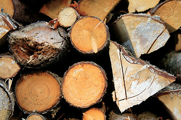 Image showing Pile of wood