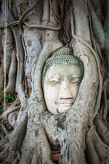 Image showing Buddha Head in Tree Roots, Wat Mahathat, Ayutthaya, Thailand