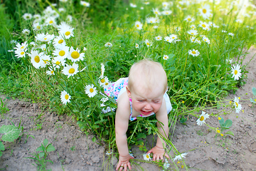 Image showing baby falls down in flower-bed of white beautiful chamomiles