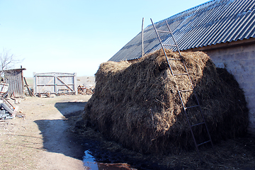 Image showing heap of the dung besides the shed