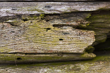 Image showing crumbling wooden surface