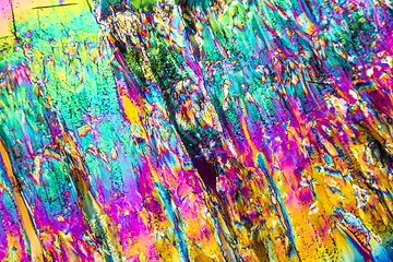 Image showing Trisodium citrate microcrystals