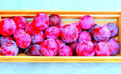 Image showing Organic red plums.