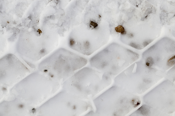 Image showing Footprints in the snow