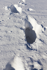 Image showing Snow drifts in winter