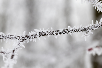 Image showing Snow drifts in winter