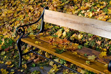 Image showing Autumn leaves park bench