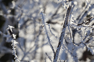 Image showing Winter time of the year