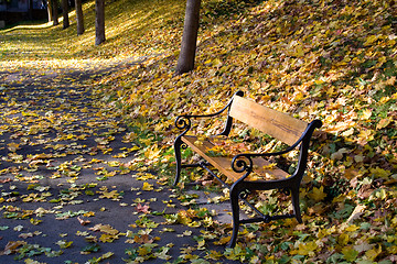 Image showing Autumn leaves park bench