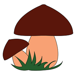 Image showing Two mushrooms vector or color illustration
