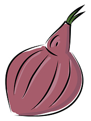 Image showing Sketch of a red onion