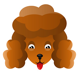 Image showing Orange Poodle illustration vector on white background