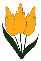 Image showing A fresh yellow snowdrop vector or color illustration