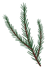 Image showing Branches of a spruce tree vector or color illustration