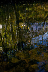 Image showing Trees reflected in water