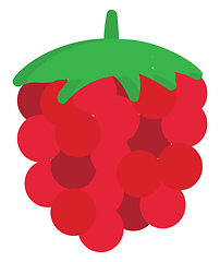 Image showing Raspberry illustration vector on white background 